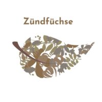 5 kg Wachsanzünder in Wachs getränkt