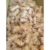 import placeholder for 6189