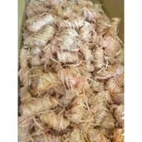 import placeholder for 6189