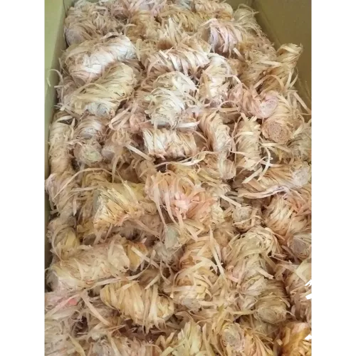 import placeholder for 6189